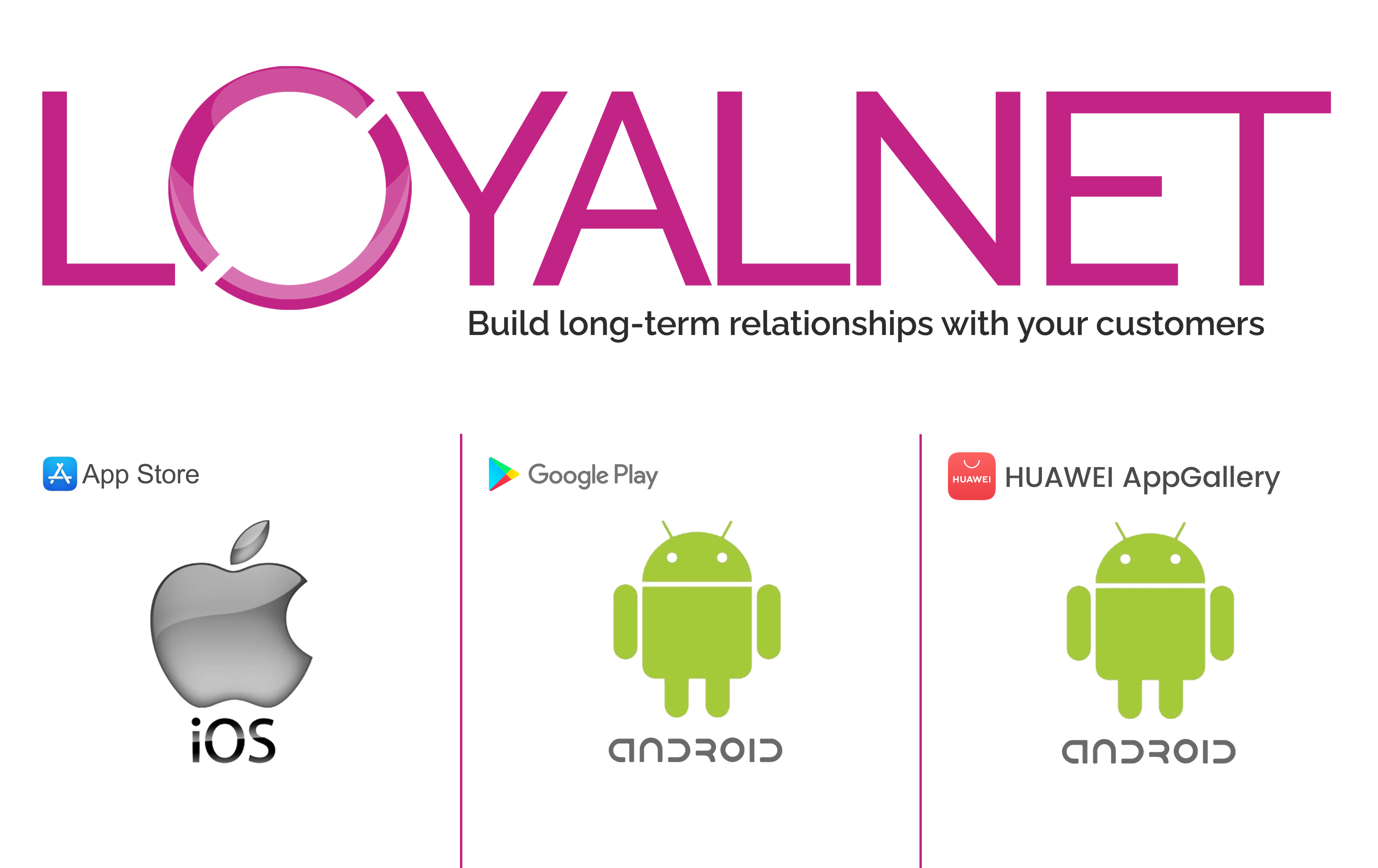 LoyalNET – application implementation process